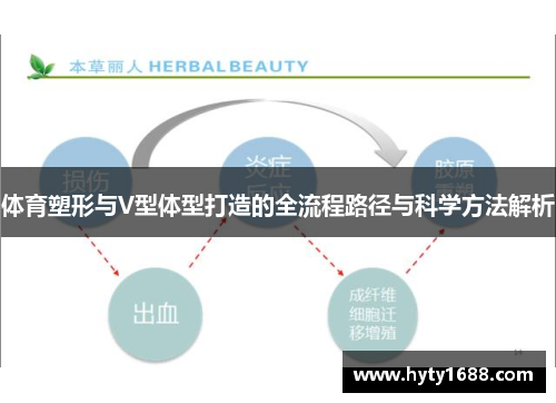 体育塑形与V型体型打造的全流程路径与科学方法解析